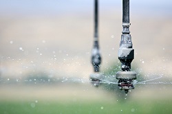irrigation close up
