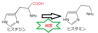 ヒスチジン ヒスタミン